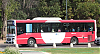 MBOH1621LSB-LFfavoritoGR_22-mt200i55_1138-060523.JPG