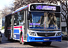MBOH1721LSB-LFfavoritaGR96-2016_17a27-vf4i142ac291KQ_1440-200725.JPG