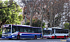 MBOH1721LSB-LFfavoritoGR96-2016_18a27-cf4i116ac207ZRe_1209-220725.JPG