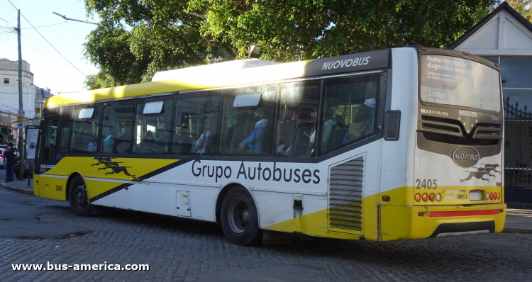 Volkswagen 18.280 OT LE - Nuovobus Menghi Euro - Grupo Autobuses
AC 981 NZ
[url=https://bus-america.com/galeria/displayimage.php?pid=56795]https://bus-america.com/galeria/displayimage.php?pid=56795[/url]

Línea 548 (Pdo. Lomas de Zamora), interno 2405
