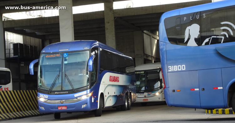 Mercedes-Benz O 500 RSD - Marcopolo G7 Paradiso 1200 - Aguia Branca
OYF-6503
[url=https://bus-america.com/galeria/displayimage.php?pid=67027]https://bus-america.com/galeria/displayimage.php?pid=67027[/url]

Aguia Branca, unidad 26210
