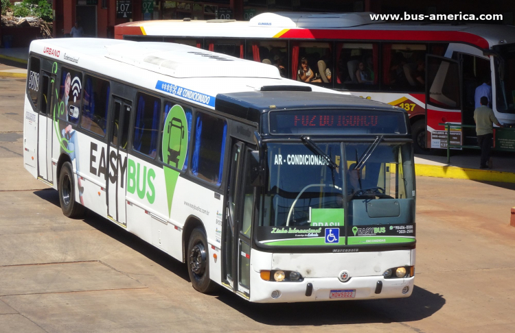 Scania K 94 IB - Marcopolo Viale - EasyBus , Celeste
MDW-5282
[url=https://bus-america.com/galeria/displayimage.php?pid=55610]https://bus-america.com/galeria/displayimage.php?pid=55610[/url]

Easy Bus, unidad 5019
Línha urbana internacional Foz do Iguaçu-Pto. Iguazu
