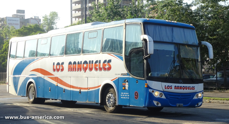 Mercedes-Benz O 500 M - Saldivia Aries 2 365 - Los Ranqueles
NPT 477
[url=https://bus-america.com/galeria/displayimage.php?pid=60866]https://bus-america.com/galeria/displayimage.php?pid=60866[/url]

Los Ranqueles (Prov. Santa Fe), interno 9
