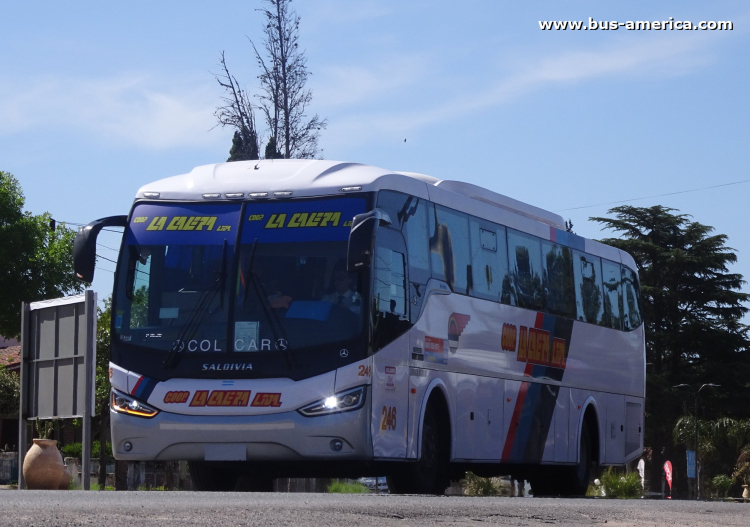 Mercedes-Benz O 500 M - Saldivia Aries 345/1050 - Coop.La Calera
[url=https://bus-america.com/galeria/displayimage.php?pid=69826]https://bus-america.com/galeria/displayimage.php?pid=69826[/url]

Coop. La Calera (Prov. Córdoba), interno 246
