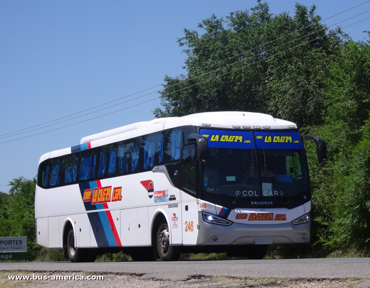Mercedes-Benz O 500 M - Saldivia Aries 345/1050 - Coop.La Calera
[url=https://bus-america.com/galeria/displayimage.php?pid=69825]https://bus-america.com/galeria/displayimage.php?pid=69825[/url]

Coop. La Calera (Prov. Córdoba), interno 246
