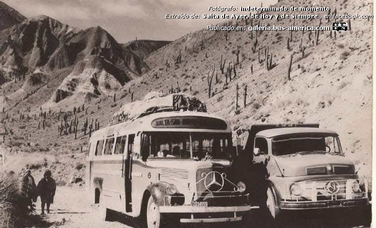 Mercedes-Benz L 312 - El Quebradeño
T.018033
[url=https://bus-america.com/galeria/displayimage.php?pid=68051]https://bus-america.com/galeria/displayimage.php?pid=68051[/url]
[url=https://bus-america.com/galeria/displayimage.php?pid=70383]https://bus-america.com/galeria/displayimage.php?pid=70383[/url]
[url=https://bus-america.com/galeria/displayimage.php?pid=70384]https://bus-america.com/galeria/displayimage.php?pid=70384[/url]
[url=https://bus-america.com/galeria/displayimage.php?pid=70385]https://bus-america.com/galeria/displayimage.php?pid=70385[/url]
[url=https://bus-america.com/galeria/displayimage.php?pid=70386]https://bus-america.com/galeria/displayimage.php?pid=70386[/url]
[url=https://bus-america.com/galeria/displayimage.php?pid=70388]https://bus-america.com/galeria/displayimage.php?pid=70388[/url]

El Quebradeño (Prov.Salta), interno 6

Fotógrafo: indeterminado de momento
Extraído de: [url=https://www.facebook.com/photo.php?fbid=1010910247720449&set=pb.100064044493867.-2207520000&type=3]Salta de Ayer, de Hoy y de Siempre, en facebook.com[/url]
