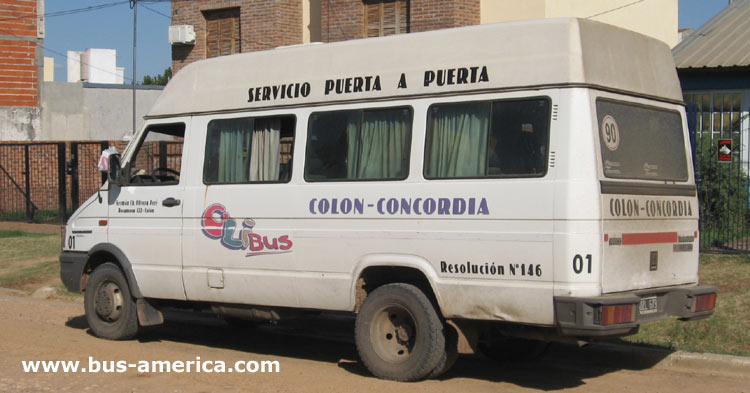 Iveco Daily (en Argentina) - Oli Bus
