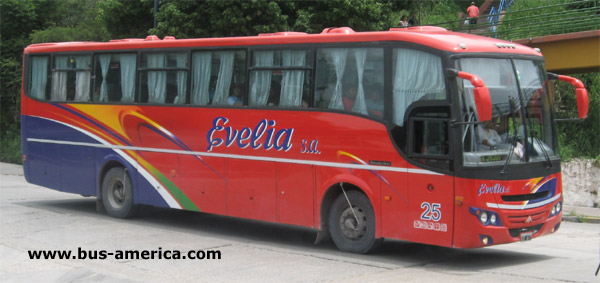 Mercedes Benz OF 1722 - Saldivia

