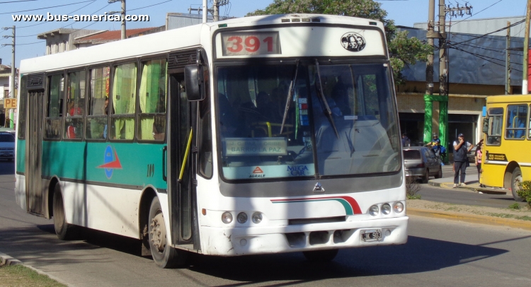 Agrale MA 15.0 - Nuovobus - Exp. Pque. El Lucero (El Litoral)
LJK903

Línea 391 (Prov. Buenos Aires), interno 109
