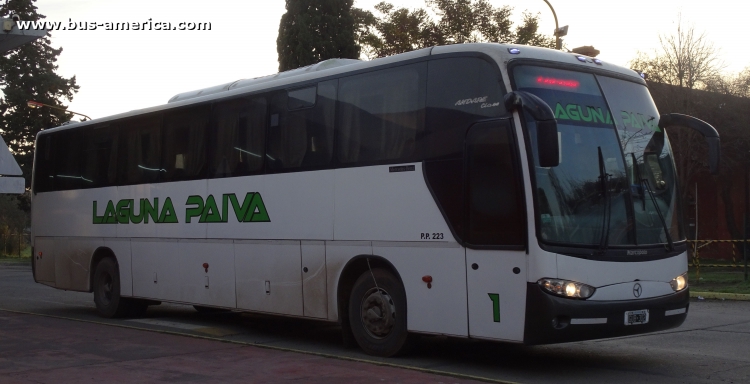 Mercedes-Benz O 500 - Marcopolo Andare Class (en Argentina) - Laguna Paiva
GUB 302
[url=https://bus-america.com/galeria/displayimage.php?pid=49750]https://bus-america.com/galeria/displayimage.php?pid=49750[/url]

Permiso Precario 223 (Prov. Santa Fe)
Laguna Paiva, interno 1




Archivo originalmente posteado en febrero de 2019
