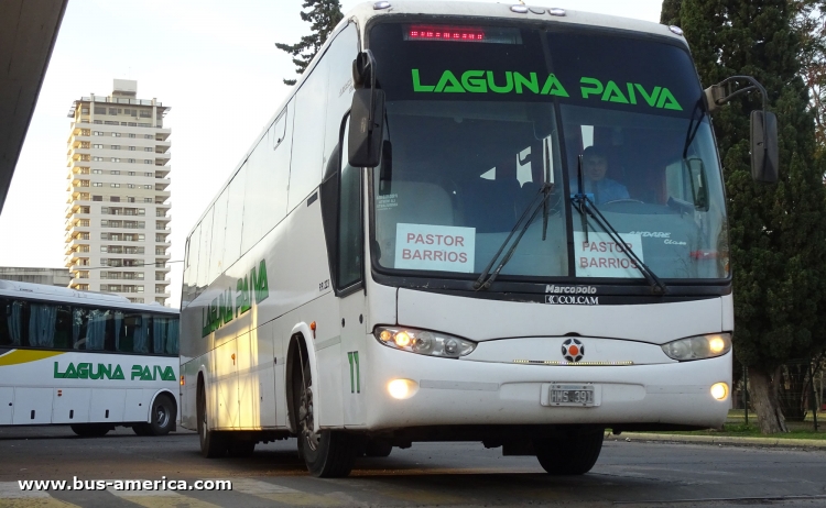 Mercedes-Benz O 500 M - Marcopolo Andare Class (en Argentina) - Laguna Paiva
HMS 391
[url=https://bus-america.com/galeria/displayimage.php?pid=49751]https://bus-america.com/galeria/displayimage.php?pid=49751[/url]

Permiso Precario 223 (Prov. Santa Fe)
Laguna Paiva, interno 11




Archivo originalmente posteado en febrero de 2019
