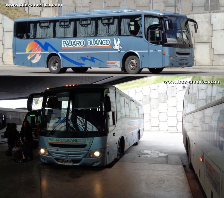 Mercedes-Benz OF 1418 - Saldivia Aries 2 325 - Pájaro Blanco
HTQ469

Pájaro Blanco, interno 50, patente provincial 0083
