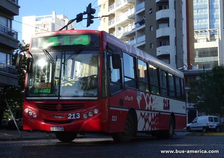 Mercedes-Benz OF 1621 - Metalpar Tronador 2010 - Nueve de Julio
AB 950 LO

Línea 414 (Prov. Buenos Aires), interno 213
