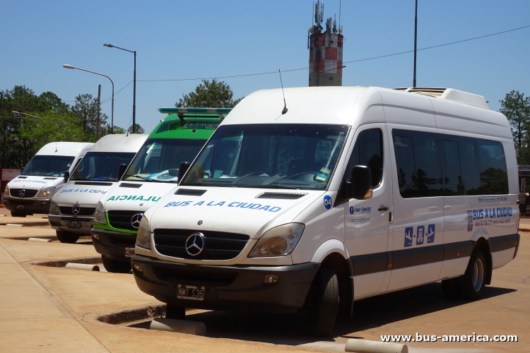 Mercedes-Benz Sprinter 515 CDI - Bus a la Ciudad , Four Tourist
NWT 536

Bus a la Ciudad (Pto. Iguazú), interno 04
