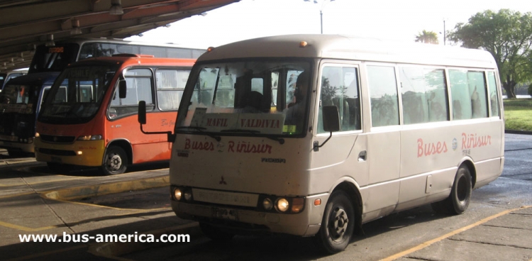 Mitsubishi Rosa (en Chile) - Riñisur
TF9946
