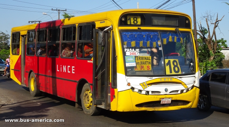 CAIO Apache Vip (en Paraguay) - Lince
BYB 604

Línea 18 (Asunción), unidad 04
