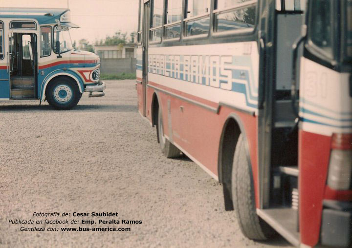 Mercedes-Benz LO 1114 - El Diseño  & Mercedes-Benz OF 1214 - Bus - Peralta Ramos
Fotografía de: Cesar Saubidet
Gentileza de: Empresa Peralta Ramos
[Datos de derecha a izquierda]
