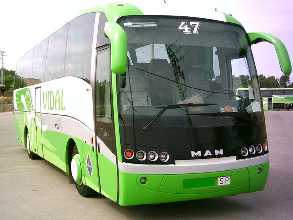 Bus
