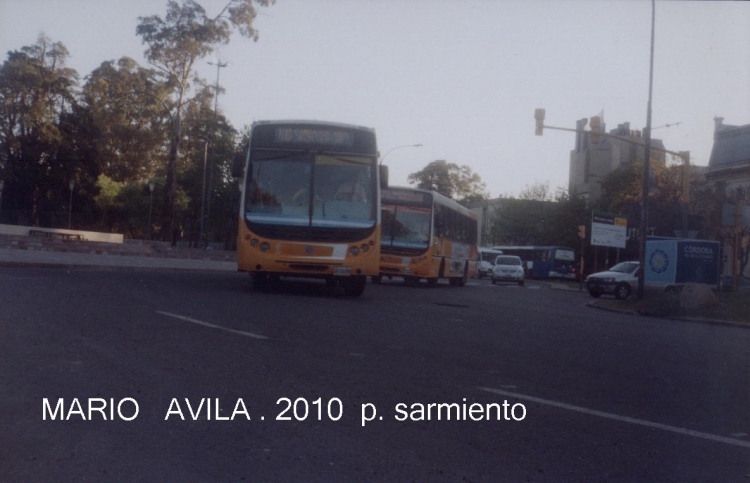 CONIFERAL   SACF
PARQUE  SARMIENTO.
