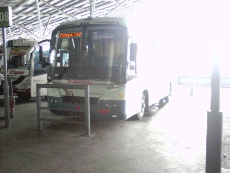 COMIL Campione (EN ECUADOR)
IMAGEN CAPTURADA EN LA TERMINAL TERRESTRE DE LA CIUDAD DE GUAYAQUIL
