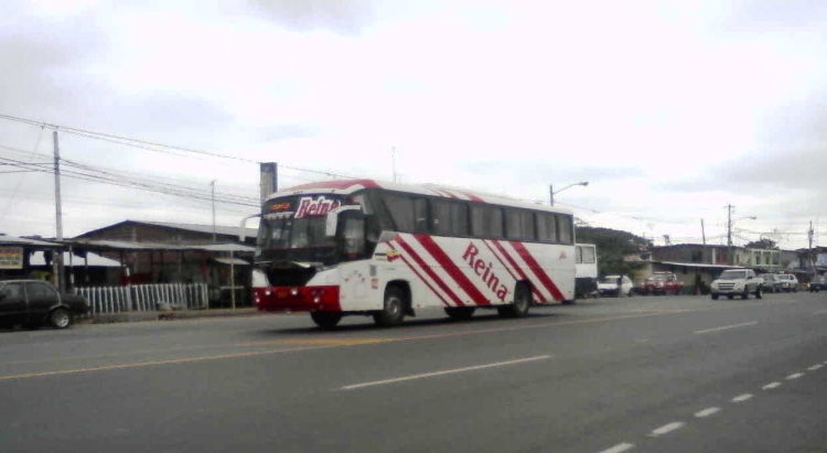 COMIL CAMPIONE (en Ecuador) - Reina del Camino
IMAGEN CAPTURADA EN LA CIUDAD DE GUAYAQUIL
