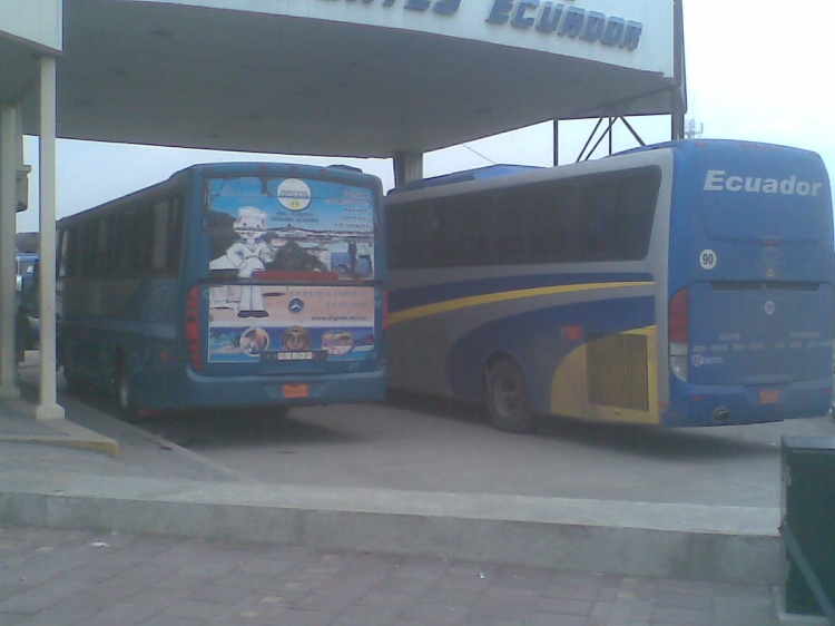 Busscar Jum Bus & Caio Giro (en Ecuador)
CARROCERIAS BRASILERAS, 2 BUSES EN SU PARTE POSTERIOR EN ECUADOR - GUAYAQUIL
