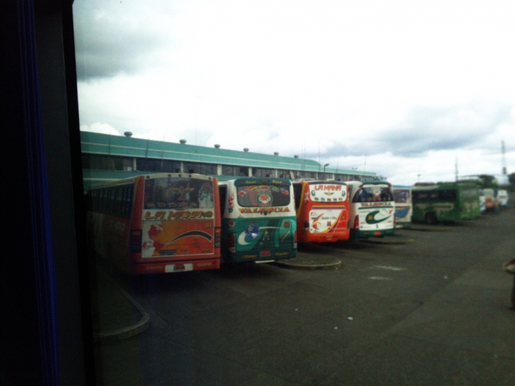 Caio Alpha (en Ecuador) - VARIOS BUSES EN LA TERMINAL DE QUEVEDO
TERMINAL TERRESTRE DE QUEVEDO
[Datos de izquierda a derecha]
