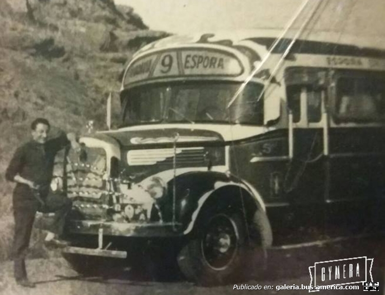 Mercedes-Benz L 312 - La Favorita - Cdad. Bahía Blanca
[url=https://bus-america.com/galeria/displayimage.php?pid=39545]https://bus-america.com/galeria/displayimage.php?pid=39545[/url]
[url=https://bus-america.com/galeria/displayimage.php?pid=39546]https://bus-america.com/galeria/displayimage.php?pid=39546[/url]
[url=https://bus-america.com/galeria/displayimage.php?pid=39547]https://bus-america.com/galeria/displayimage.php?pid=39547[/url]
[url=https://bus-america.com/galeria/displayimage.php?pid=39548]https://bus-america.com/galeria/displayimage.php?pid=39548[/url]

Línea 9 (Pdo. Bahía Blanca), interno 5

En la imagen: Miguel Partearroyo
Fotografía: Cynera

Para conocer la historia de esta línea puede visitar el articulo en Revista Bus América: [url=https://bus-america.com/revista/Notas/517.htm]Línea 517 "La Pachanga"[/url]
