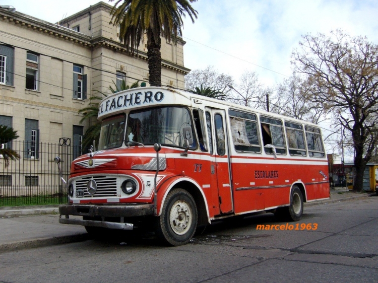 TRANSPORTE ESCOLAR
