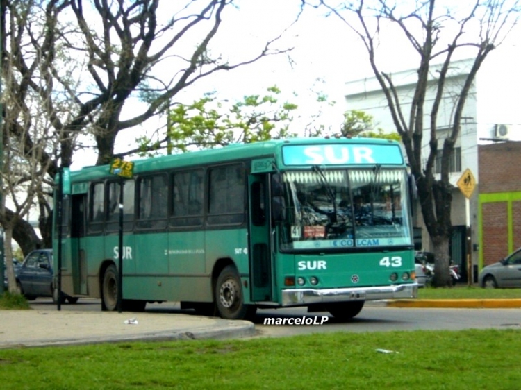 SUT SUR - MARCOPOLO TORINO - 43
