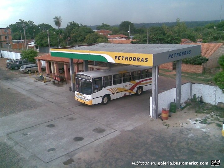 Grupo Lince Empresarial / Paraguay
Bus urbano del transporte público que sirve a la Gran Asunción
Palabras clave: grupolince1@hotmail.com / +59521960531