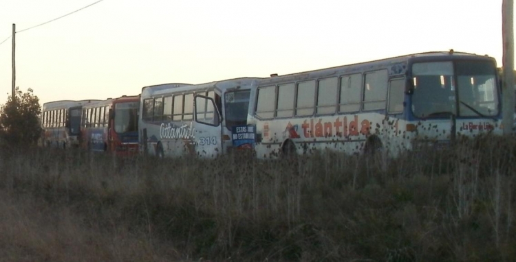 Transportes Atlántida S.A.C. - El Detalle
Palabras clave: El Detalle - Transportes Atlántida - Varios Línea 57 410 429 256