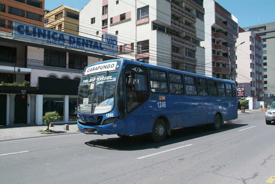 Mercedes Benz OF 17 21 Carroceria Union
Bus Tipo En Quito Coop Transporsel
Palabras clave: Mercedes Benz OF 17 21 Carroceria Union