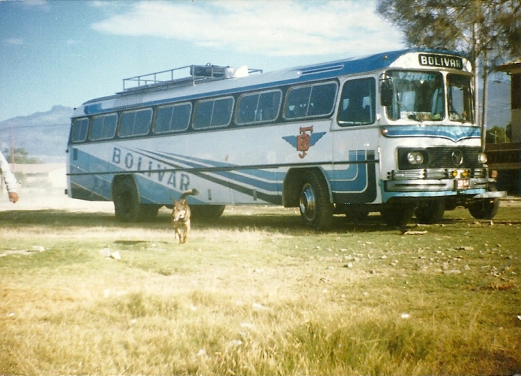 Mercedes-Benz O 355 R (en Bolivia) - Bolivar - zeus
Palabras clave: zeus tony