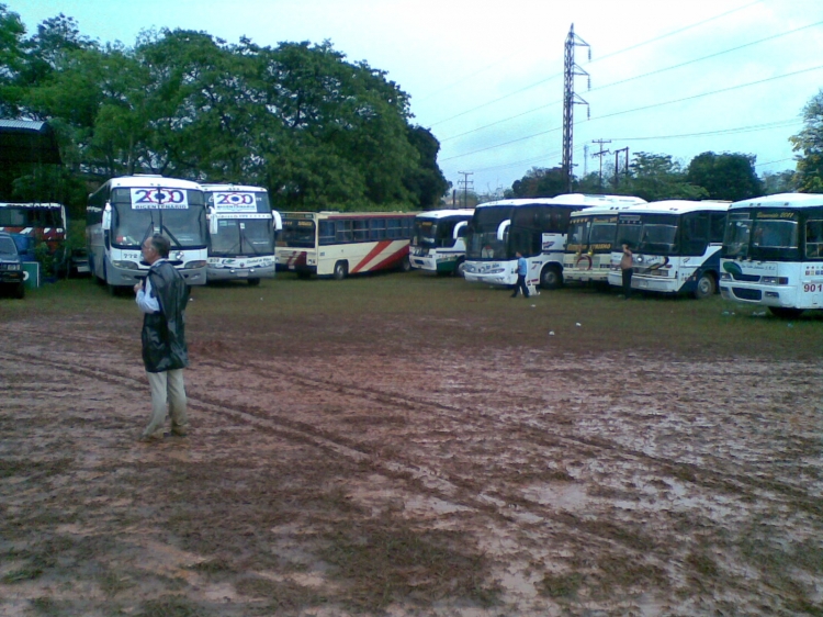 Varios buses - Comil / Caio / Marcopolo (en Paraguay)
Fotografia: Dear
Palabras clave: --