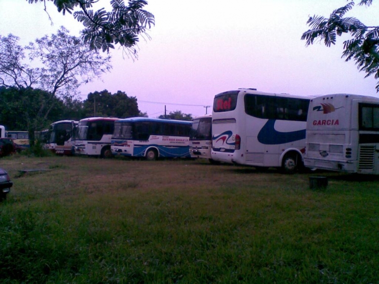 Marcopolo Viaggio GV 1000 (en Paraguay) 
Varios Buses
Fiotografia: Dear
Palabras clave: Scania