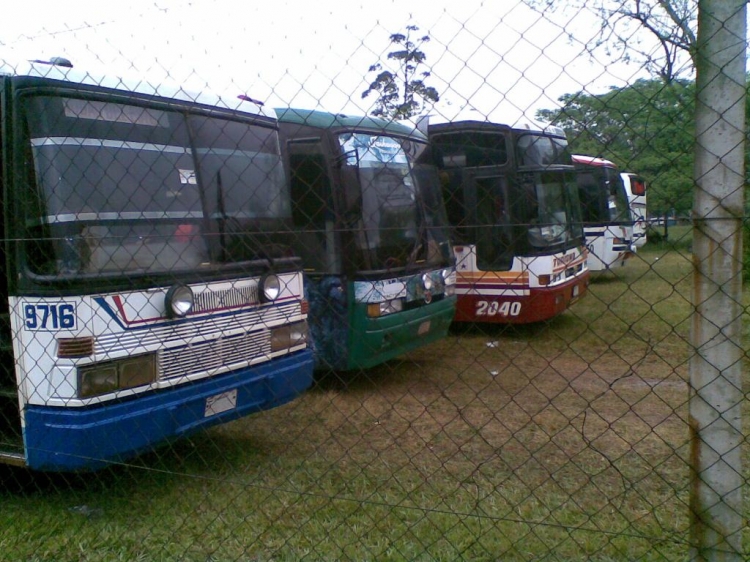 Marcopolo Viaggio / Busscar El Bus 340 (en Paraguay)
Fotografia: Dear
Palabras clave: MB