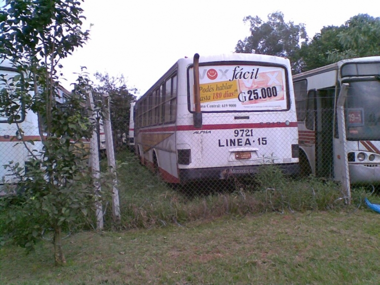 Mercedes-Benz OF 1318 - Caio Alpha (en Paraguay) - Linea 15 , Automotores Guarani
Fotografia: Dear
Buses embargados por el BNF
Palabras clave: MB