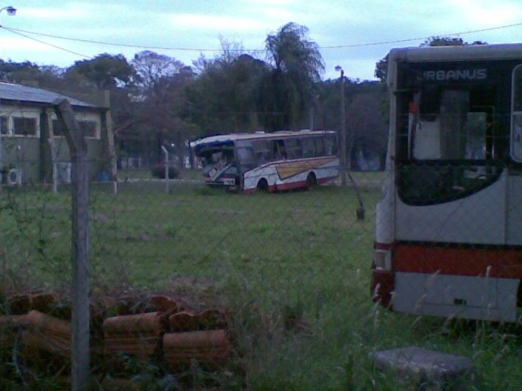 Mercedes-Benz OF 1318 - Caio Alpha (en Paraguay) - Linea 15 , Automotores Guarani
Fotografia: Dear
Buses embargados por el BNF
Palabras clave: MB