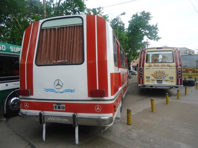 Mercedes-Benz LO 1114 - El Indio - Particular
S 432579 - VJA 915
Mi 1114 Carrocería El Indio
Quiero presentarles mi 1114, es modelo 80 y perteneció a la Treinta de Agosto, lo compro mi viejo en el 93 y actualmente lo conservamos con mi hermano en homenaje a mi viejo que nos dejo hace 3 años!!

http://galeria.bus-america.com/displayimage.php?pos=-26208
http://galeria.bus-america.com/displayimage.php?pos=-26209
