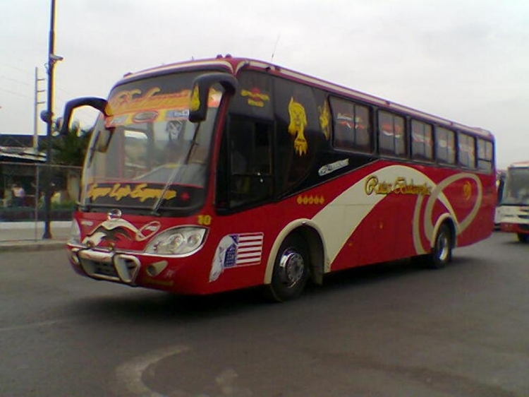 Interior bus Cepeda
