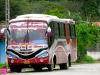 bus211.jpg