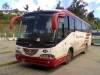buss21_(7).jpg