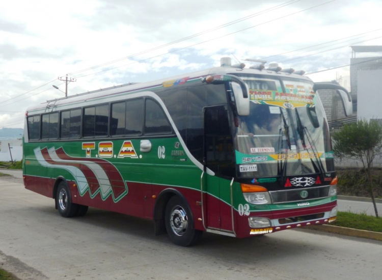TAV1111
