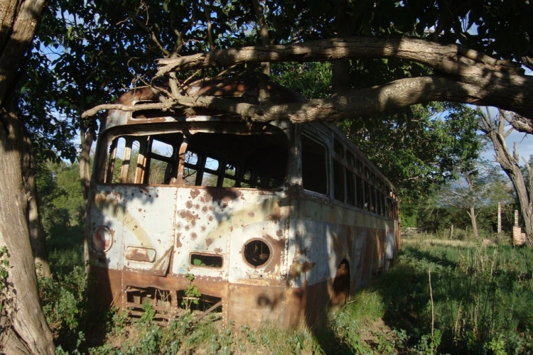 Leyland Royal Tiger - Decaroli Hnos - Ex CATA
http://galeria.bus-america.com/displayimage.php?pos=-17264
http://galeria.bus-america.com/displayimage.php?pos=-17265
http://galeria.bus-america.com/displayimage.php?pos=-17266
http://galeria.bus-america.com/displayimage.php?pos=-17318
http://galeria.bus-america.com/displayimage.php?pos=-17319
http://galeria.bus-america.com/displayimage.php?pos=-17320
