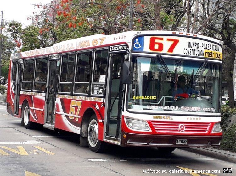 Mercedes-Benz OH 1718 L-SB - Italbus Tropea - Transportes del Tejar
LDH 725
Línea 67 (Buenos Aires) - Interno 6
Ex línea 39 (Buenos Aires) - Interno 74

Foto: "Truku" Gambadiez
Colección: Charly Souto
Palabras clave: Transportes del Tejar - Interno 6