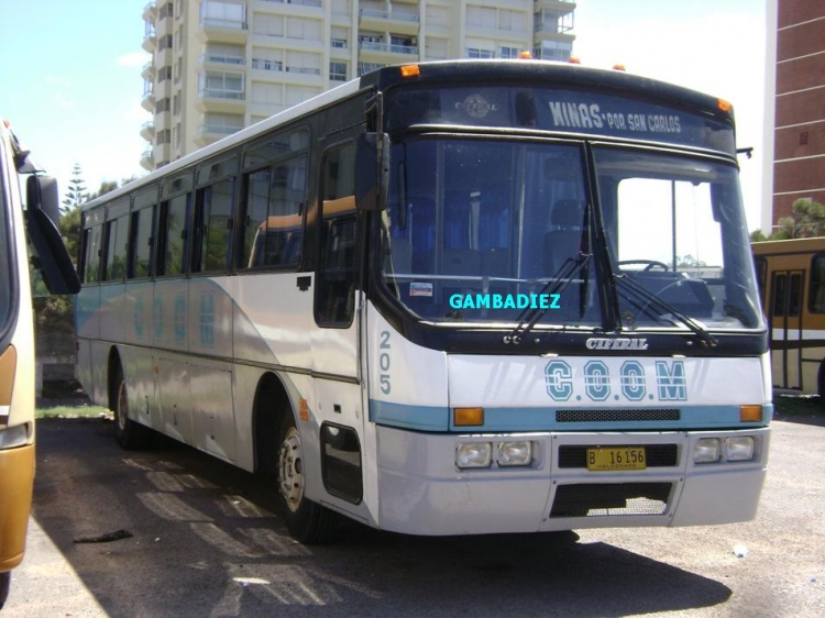 Ciferal GLS Bus (en Uruguay) - C.O.O.M. - 205
B 16.156
Palabras clave: C.O.O.M. - 205