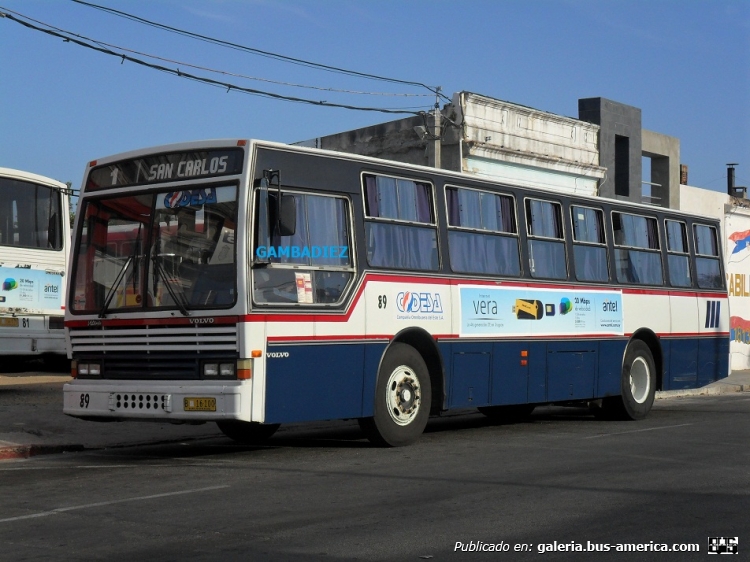 Volvo B-58 E - CAIO (en Uruguay) - CODESA
B 16-100
Línea 1 - Interno 89

Foto: "Truku" Gambadiez
Colección: Charly Souto
Palabras clave: CODESA - Interno 89