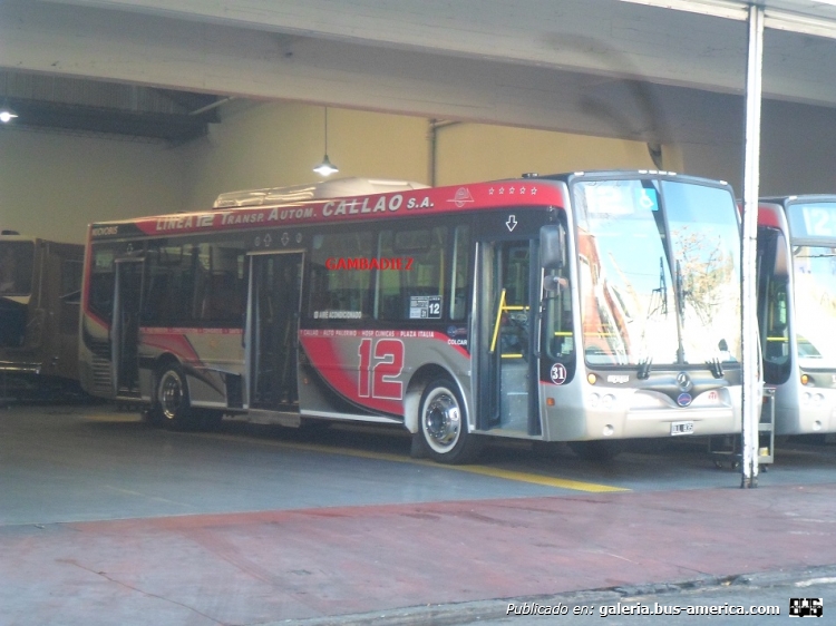 Mercedes-Benz OH 1718 L - Nuovobus - T.A. Callao
OLL 835
Línea 12 - Interno 31

Foto: "Truku" Gambadiez
Colección: Charly Souto
Palabras clave: T.A. Callao - Interno 31