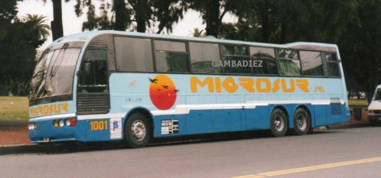 MICROSUR - EX 1001
Palabras clave: MICROSUR - EX 1001